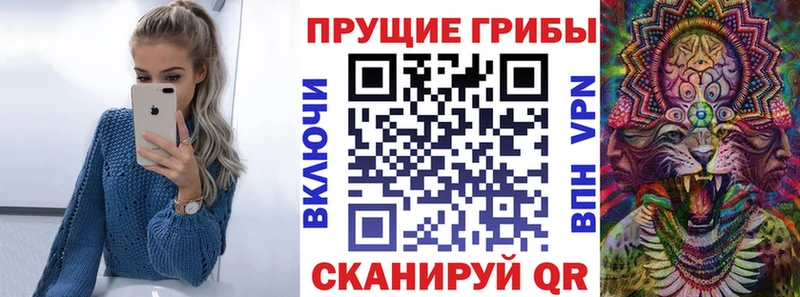 Галлюциногенные грибы Psilocybe  Усолье-Сибирское 