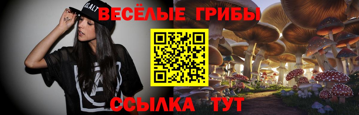 Галлюциногенные грибы прущие грибы  Вход с VPN  Усолье-Сибирское  Галлюциногенные грибы Cubensis 